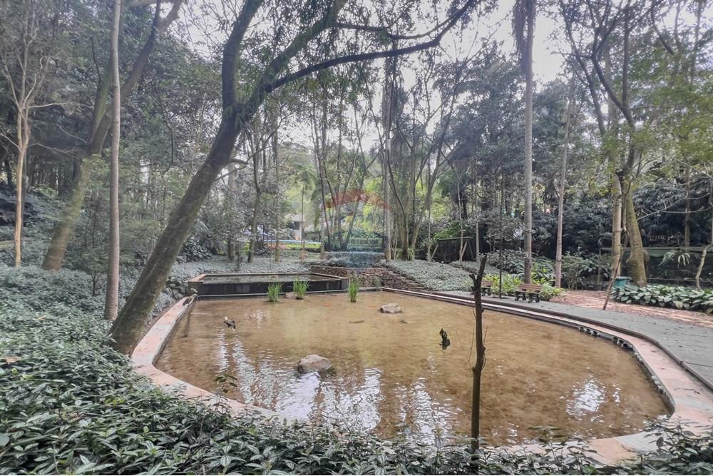 Apartamento - Venda - Osasco , São Paulo - IMG_2019.jpg - 690351013-21