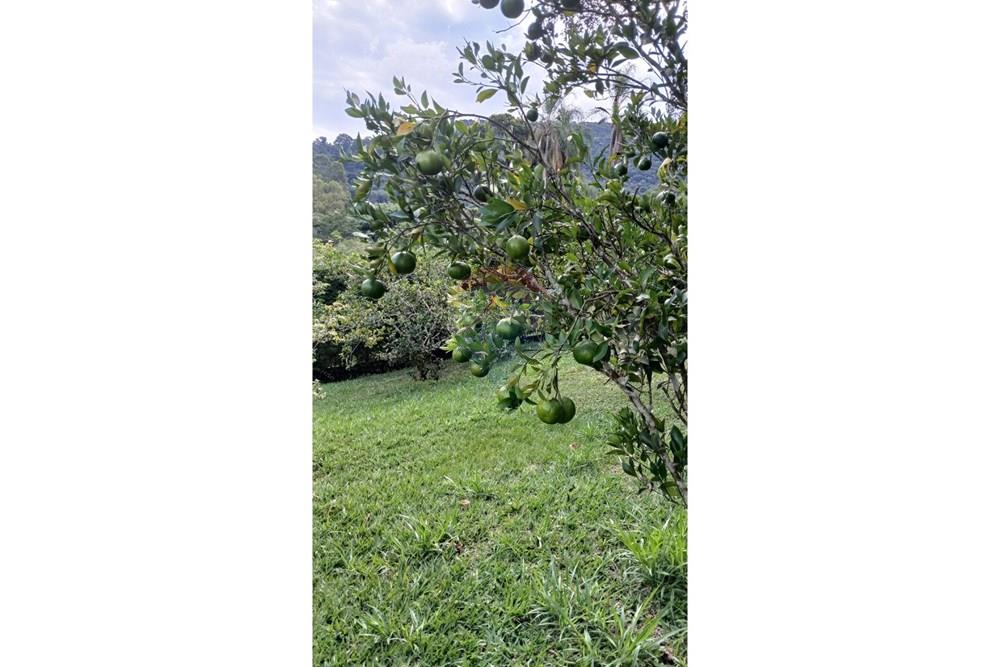 Chácara / Sítio / Fazenda - Venda - Extrema , Minas Gerais - FRUTAS (1).jpg - 690141085-25