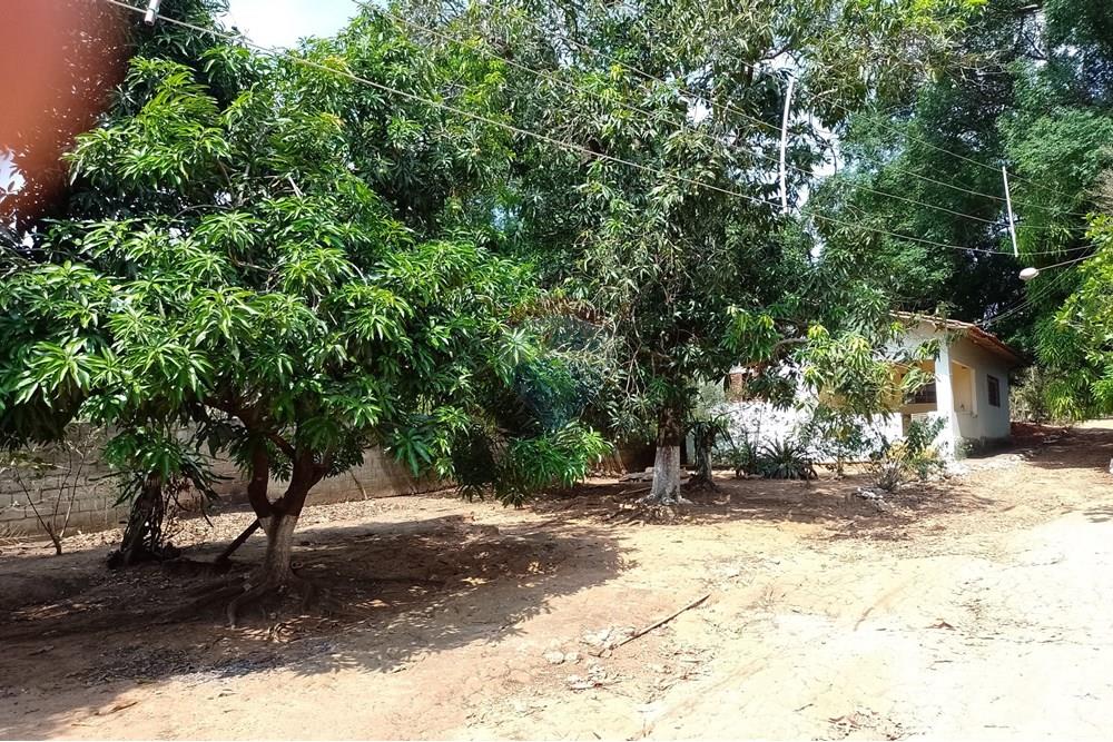 Terreno - Venda - Cosmópolis , São Paulo - fachada (19).jpg - Jardim Interno - 690831047-354