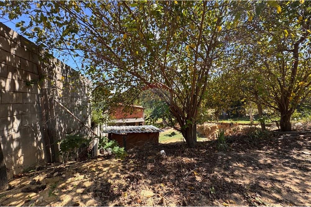 Chácara / Sítio / Fazenda - Venda - Capivari , São Paulo - foto 03.jpg - 690091006-483