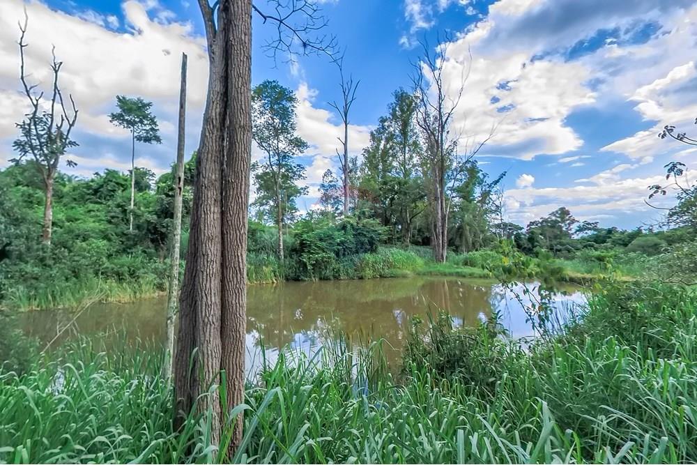 Chácara / Sítio / Fazenda - Venda - Araras , São Paulo - Tratada-59.jpg - 690691016-236