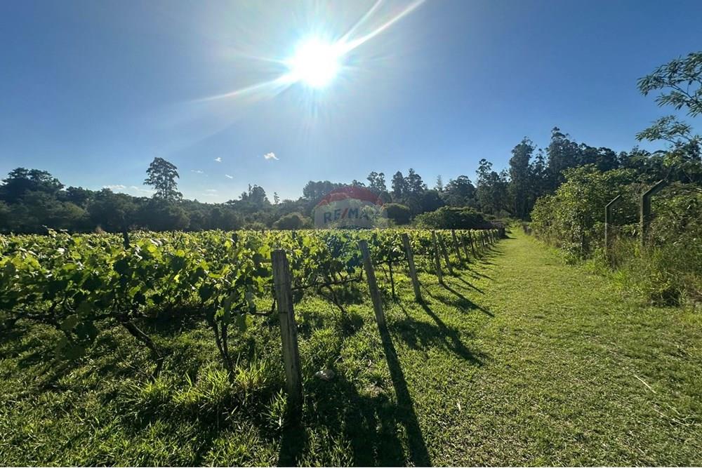 Chácara / Sítio / Fazenda - Venda - Jundiaí , São Paulo - WhatsApp Image 2025-10-23 at 13.29.02 (2).jpeg - 690801041-183