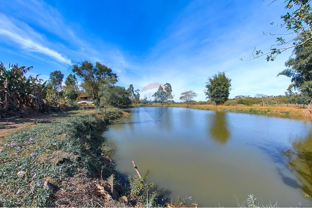 Chácara / Sítio / Fazenda - Venda - Santa Cruz da Conceição , São Paulo - Tratada-18.jpg - 690481001-177