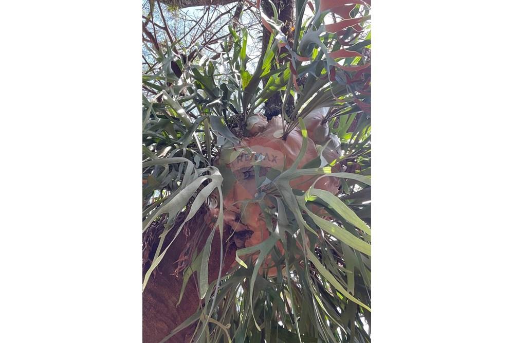 Casa de Condomínio - Alugar - Vinhedo , São Paulo - IMG_2774.JPG - 690491062-161