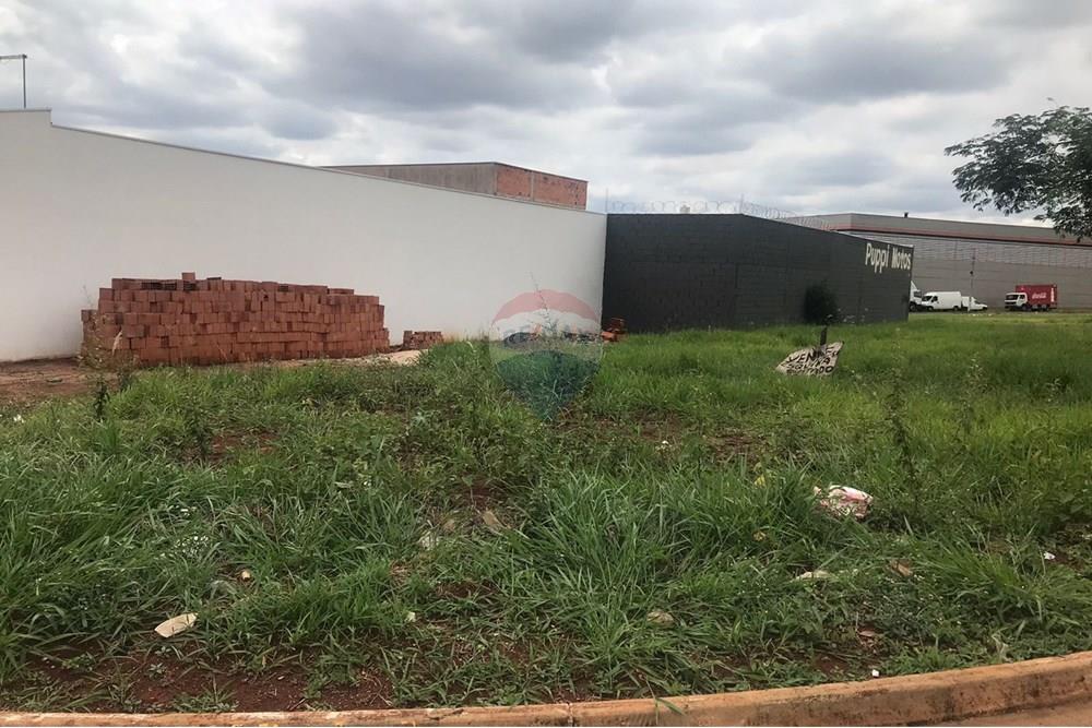 Terreno - Venda - Araras , São Paulo - WhatsApp Image 2025-10-09 at 22.41.58 (1).jpeg - 690691043-137