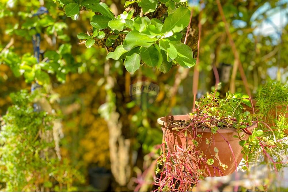 Casa - Venda - Mogi Mirim , São Paulo - IMG_3557_jpg.jpg - 690751017-122