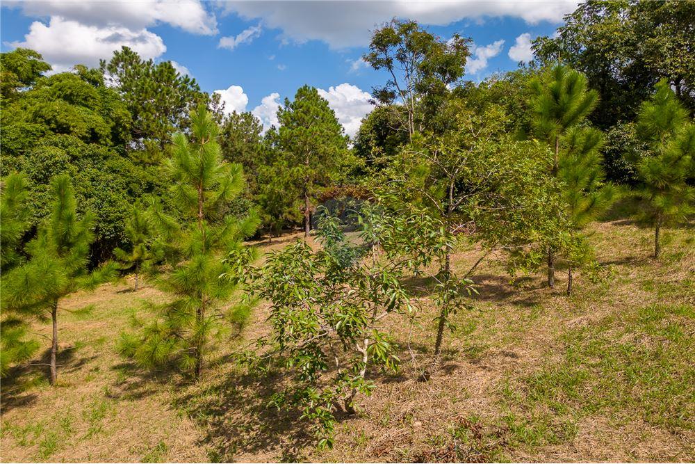Terreno - Venda - Valinhos , São Paulo - 13 - 691091001-208