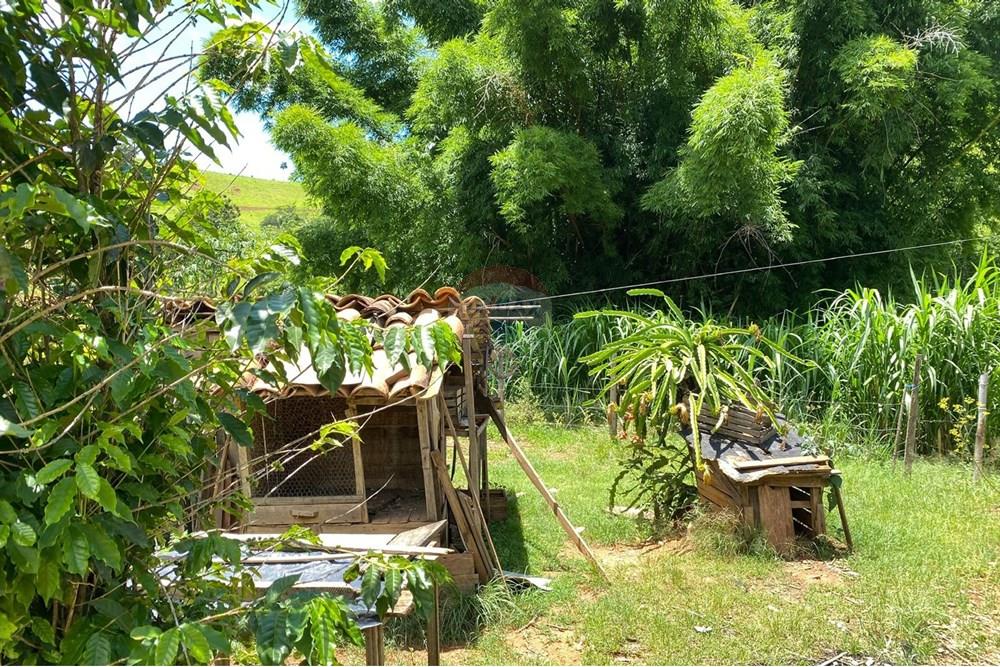 Chácara / Sítio / Fazenda - Venda - Lindóia , São Paulo - Imagem do WhatsApp de 2025-02-25 à(s) 19.33.43_58e5a0e8.jpg - 690291077-223