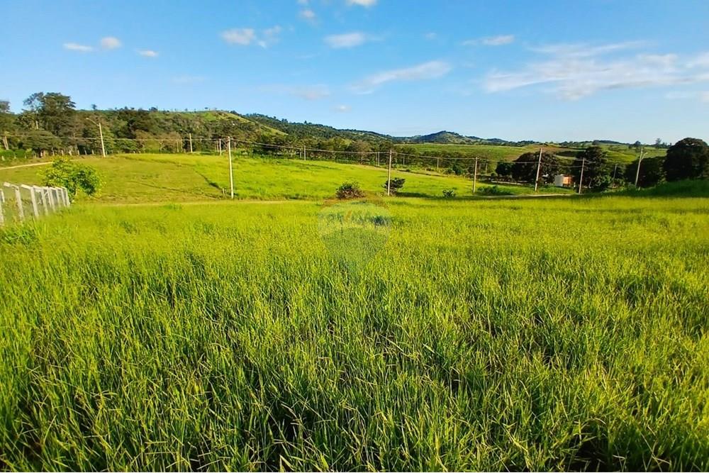 Chácara / Sítio / Fazenda - Venda - Itapira , São Paulo - WhatsApp Image 2025-04-08 at 15.04.59 (3).jpeg - 690291039-39