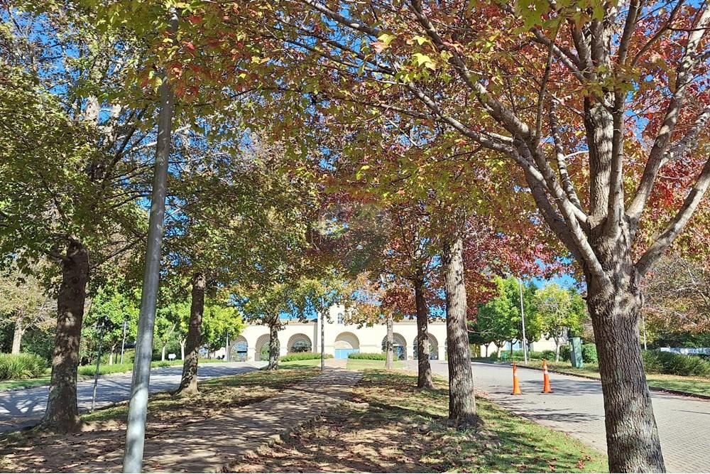 Casa de Condomínio - Alugar - Santana de Parnaíba , São Paulo - 2.20240803_092456.jpg - 691021016-41