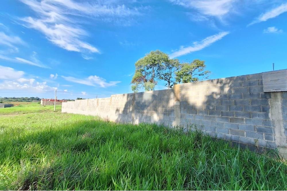 Terreno - Alugar - Mogi Mirim , São Paulo - IMG-20241209-WA0047.jpg - 690751048-95