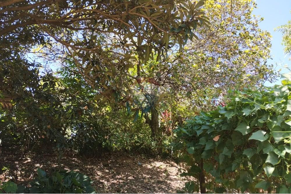 Terreno - Venda - Vinhedo , São Paulo - 6f639356-255c-4cd4-98cf-332ee8307f01.jpg - 690851008-487