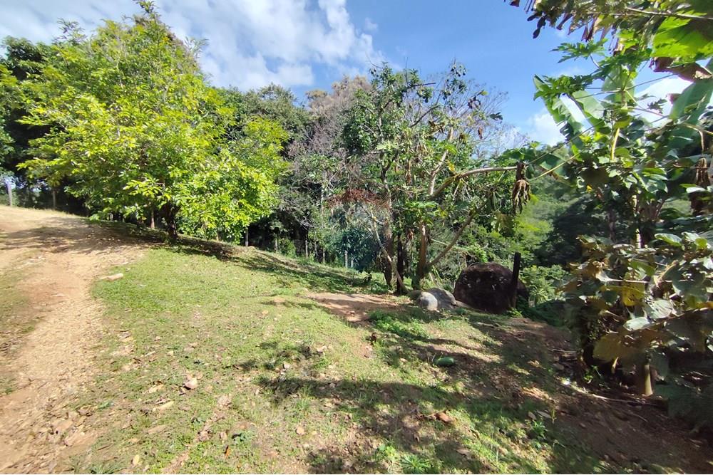 Chácara / Sítio / Fazenda - Venda - Itapira , São Paulo - 1751510168902.jpg - 690291077-251