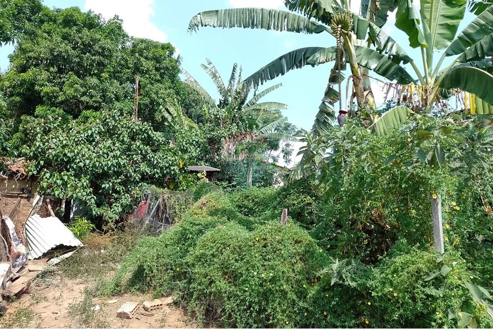 Terreno - Venda - Cosmópolis , São Paulo - fachada (10).jpg - Jardim Interno - 690831047-354