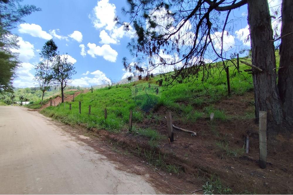 Terreno - Venda - Serra Negra , São Paulo - IMG_20241030_111018.jpg - 690291077-60