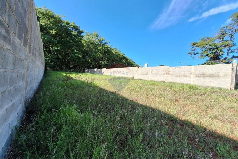 Terreno - Alugar - Mogi Mirim , São Paulo - IMG-20241208-WA0061.jpg - 690751048-95