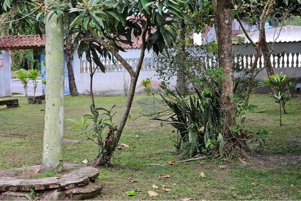 Edícula - Venda - Bertioga , São Paulo - 20250708_125833.jpg - 690341002-162