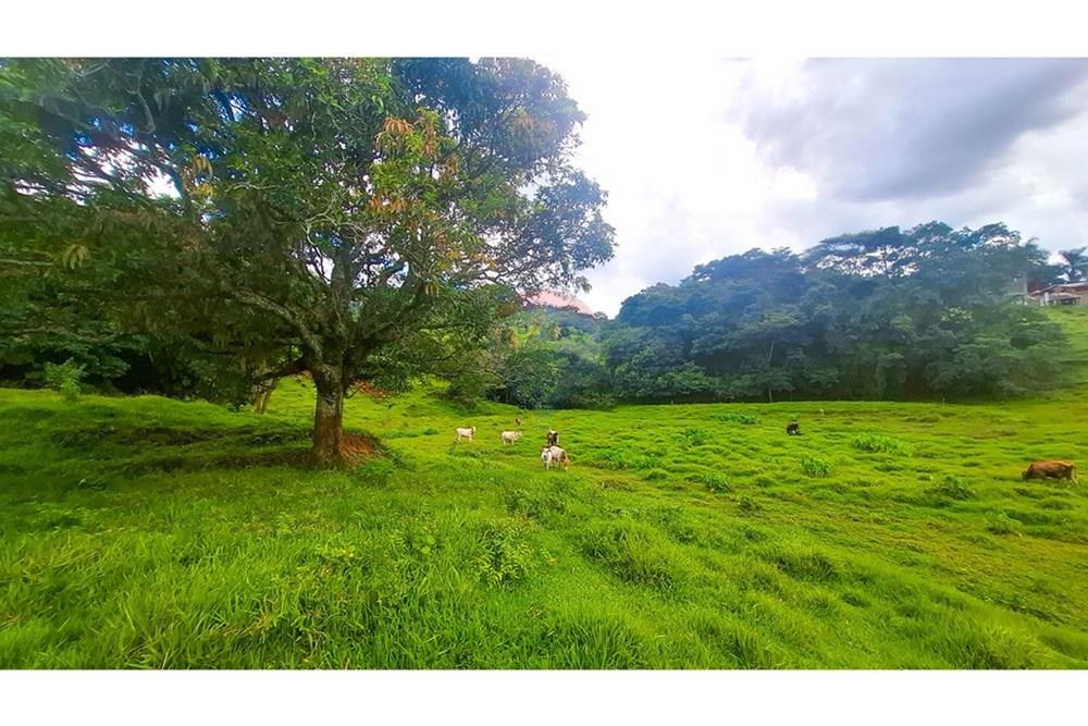 Terreno - Venda - Socorro , São Paulo - 20250319_150335.jpg - 690291056-27
