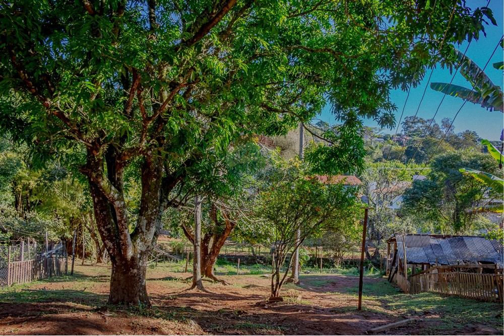 Chácara / Sítio / Fazenda - Venda - Atibaia , São Paulo - RINF-153.jpg - 690921066-49