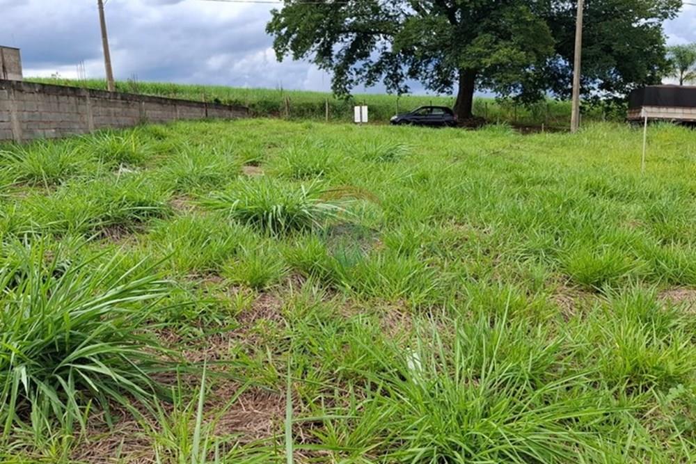 Terreno - Venda - Aguaí , São Paulo - Foto 9.jpg - 690751025-97