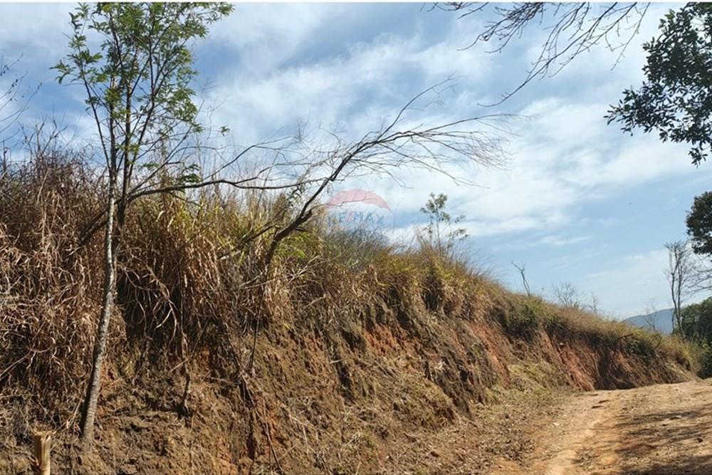 Terreno - Venda - Joanópolis , São Paulo - Imagem do WhatsApp de 2025-09-19 à(s) 11.52.12_a31a4b86.jpg - 691011025-2