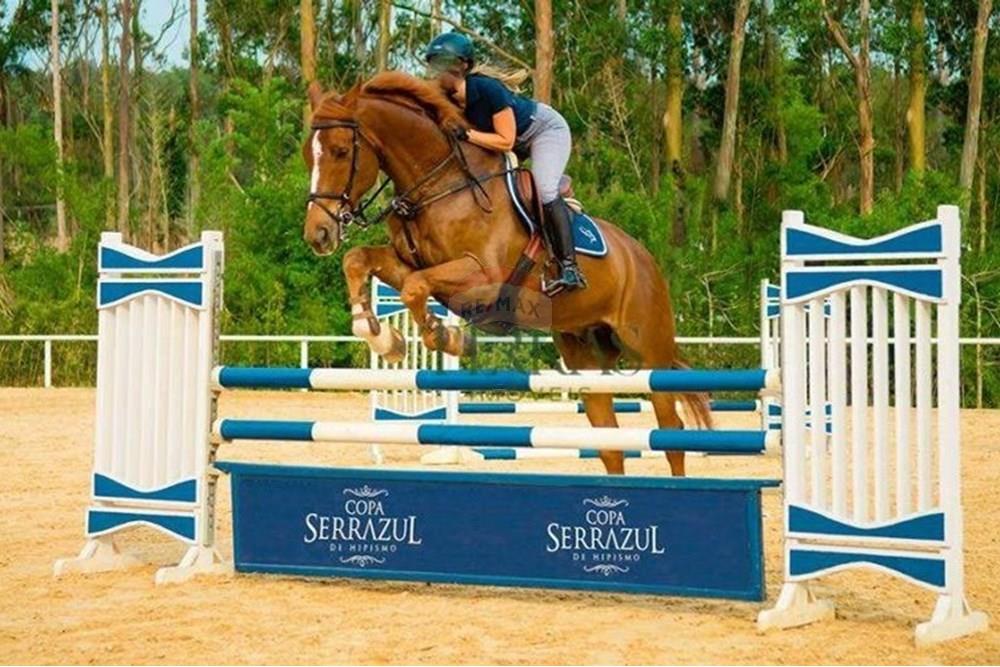 Terreno - Venda - Itupeva , São Paulo - WhatsApp Image 2025-03-07 at 17.00.40 (1).jpeg - 690801020-177