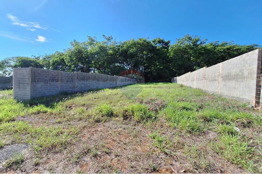 Terreno - Alugar - Mogi Mirim , São Paulo - IMG-20241208-WA0065.jpg - 690751048-95