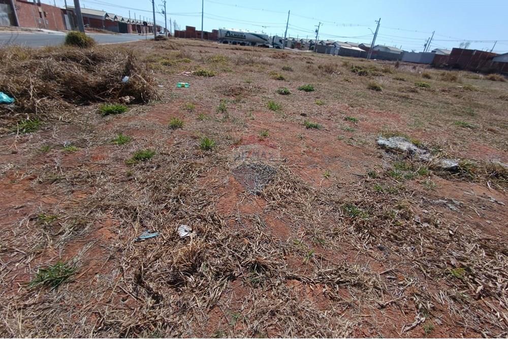 Terreno - Venda - Mogi Guaçu , São Paulo - WhatsApp Image 2025-09-18 at 15.29.44 (2).jpeg - 690521033-188