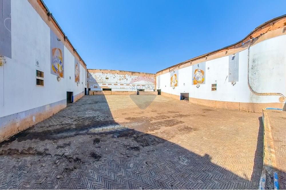 Ponto Comercial/ Loja - Venda - Leme , São Paulo - Tratada-13.jpg - 690691017-82