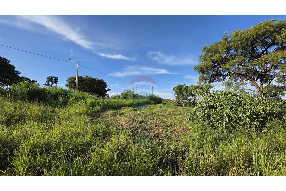 Terreno - Venda - Araraquara , São Paulo - Imagem do WhatsApp de 2025-02-27 à(s) 17.42.55_d13a993d.jpg - 690151043-72