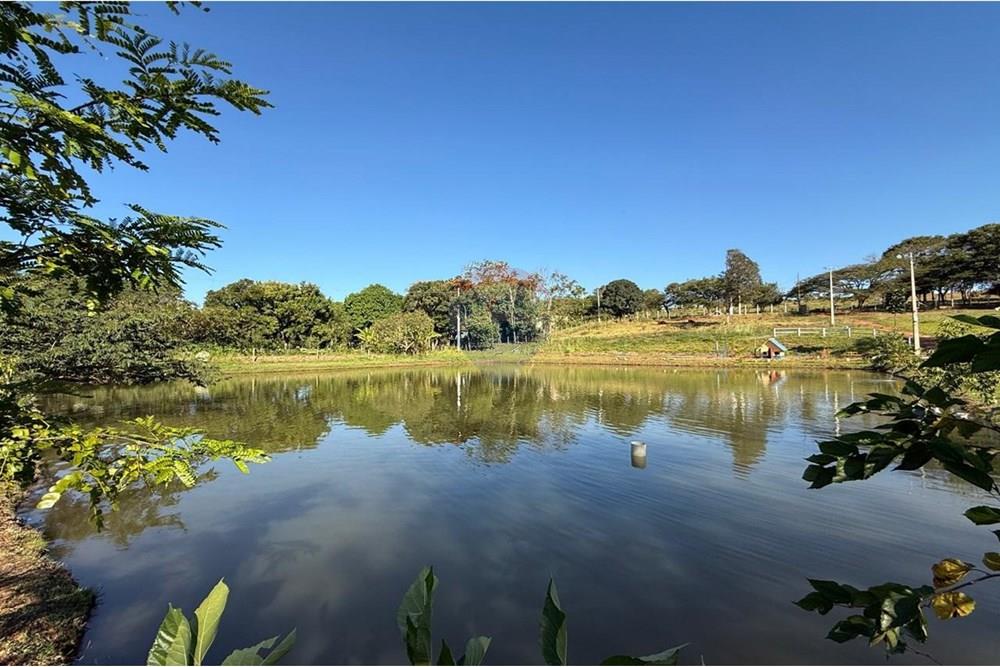 Chácara / Sítio / Fazenda - Venda - Itapira , São Paulo - WhatsApp Image 2025-06-03 at 18.53.16.jpeg - 690521014-122