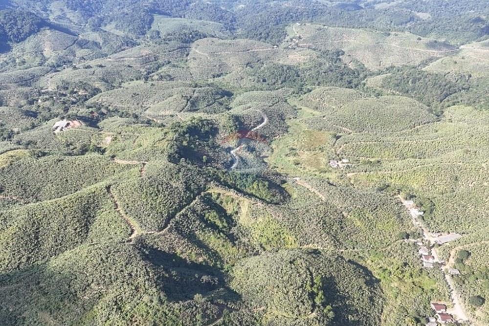 Fazenda - Venda - Miracatu , São Paulo - WhatsApp Image 2025-06-02 at 19.53.39.jpeg - 690061038-8