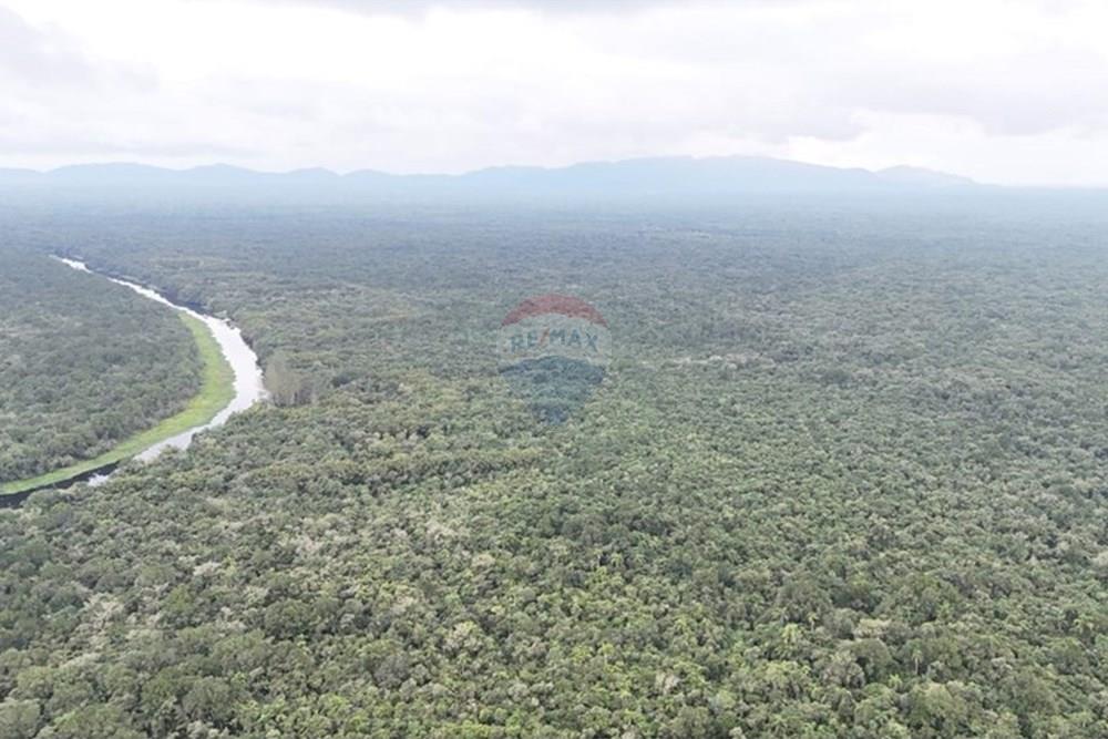 Fazenda - Venda - Iguape , São Paulo - WhatsApp Image 2025-08-11 at 16.22.23 (3).jpeg - 690061038-13