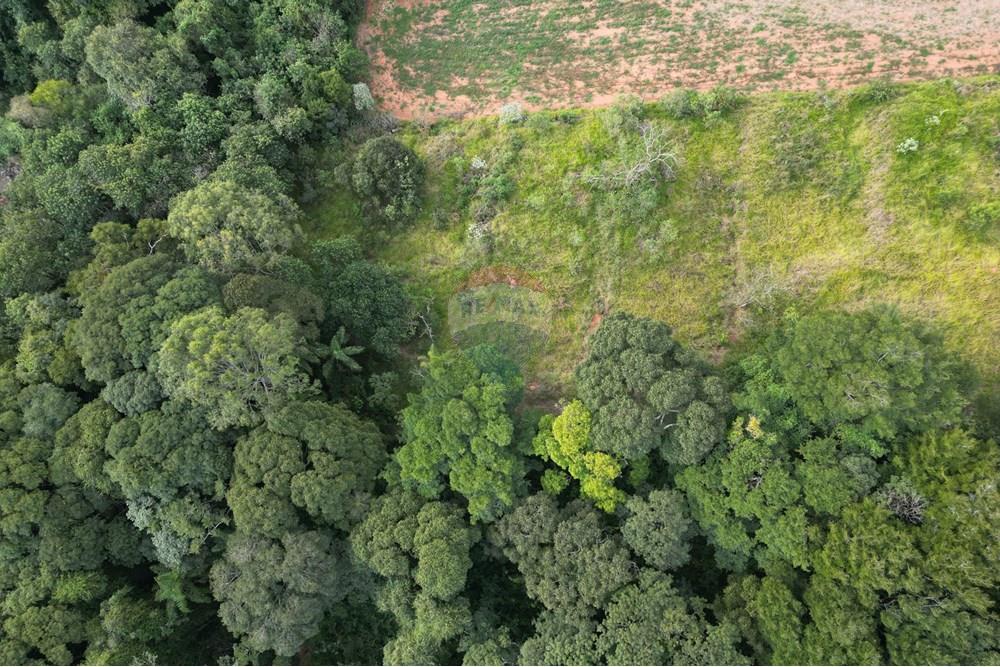 Terreno - Venda - Socorro , São Paulo - DJI_0132.JPG - 690291077-224