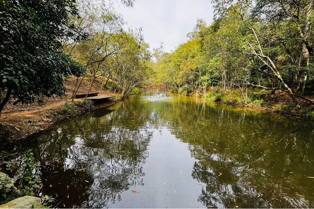 Apartamento - Venda - Jundiaí , São Paulo - 82503201-473d-470f-a70a-b80cd9c5ea79.jpg - 690621048-66