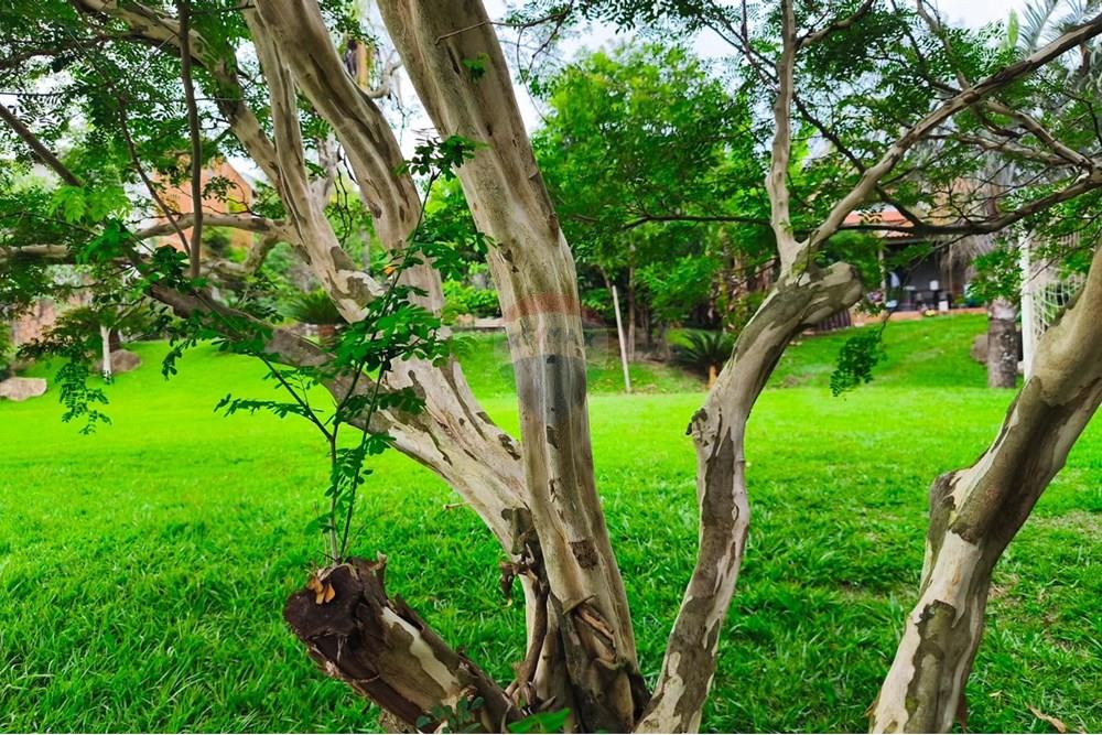 Terreno - Venda - Mogi Guaçu , São Paulo - WhatsApp Image 2025-04-25 at 17.30.49 (2).jpeg - 690521018-181