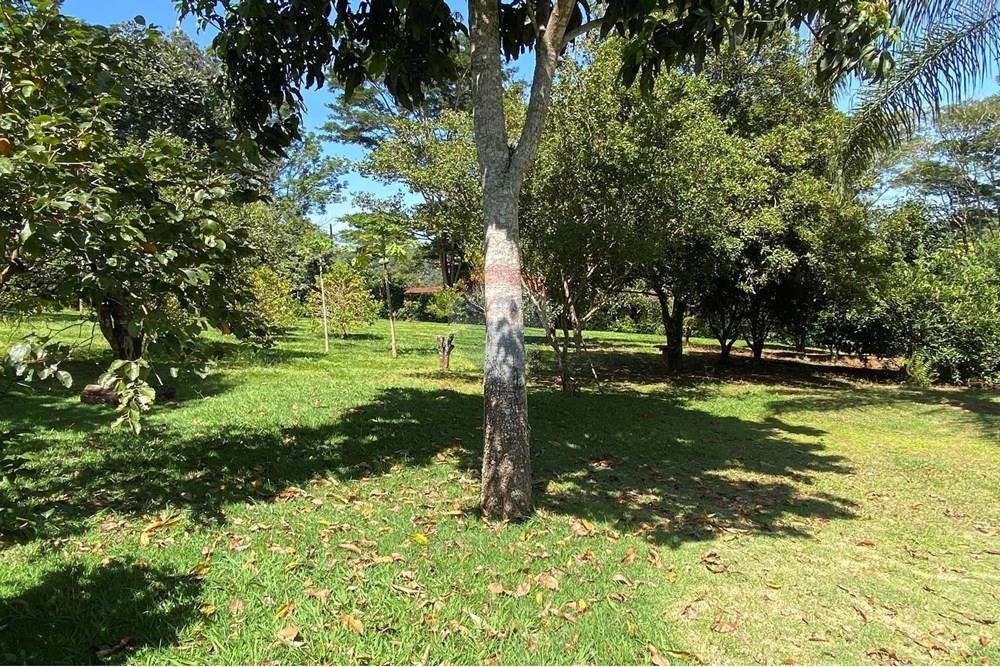 Chácara / Sítio / Fazenda - Venda - Jarinu , São Paulo - Z34.JPEG - 691121002-22