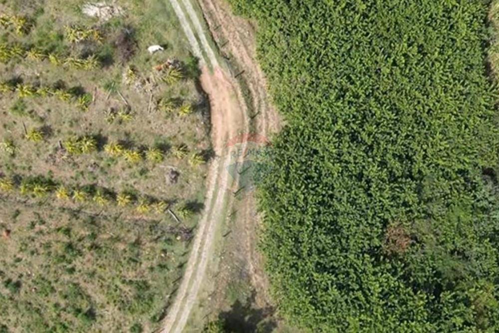 Chácara / Sítio / Fazenda - Venda - Itapira , São Paulo - IMG-20250713-WA0599.jpg - 690291077-251