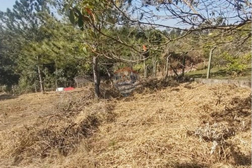 Terreno - Venda - Jarinu , São Paulo - WhatsApp Image 2025-05-27 at 18.32.16.jpeg - 690661027-110