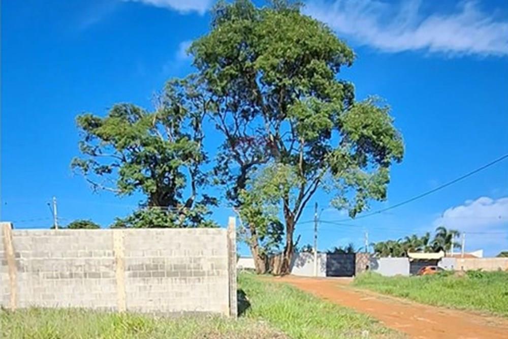 Terreno - Alugar - Mogi Mirim , São Paulo - IMG-20241209-WA0036.jpg - 690751048-95