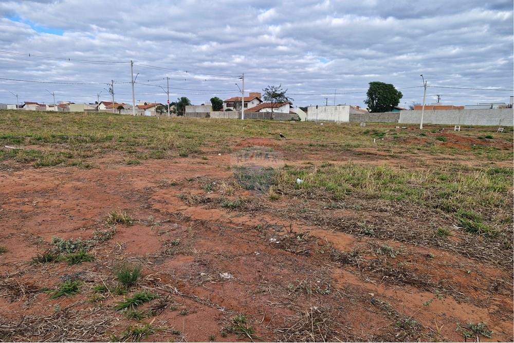 Terreno - Venda - Mogi Mirim , São Paulo - 20250710_082737.jpg - 690751034-116