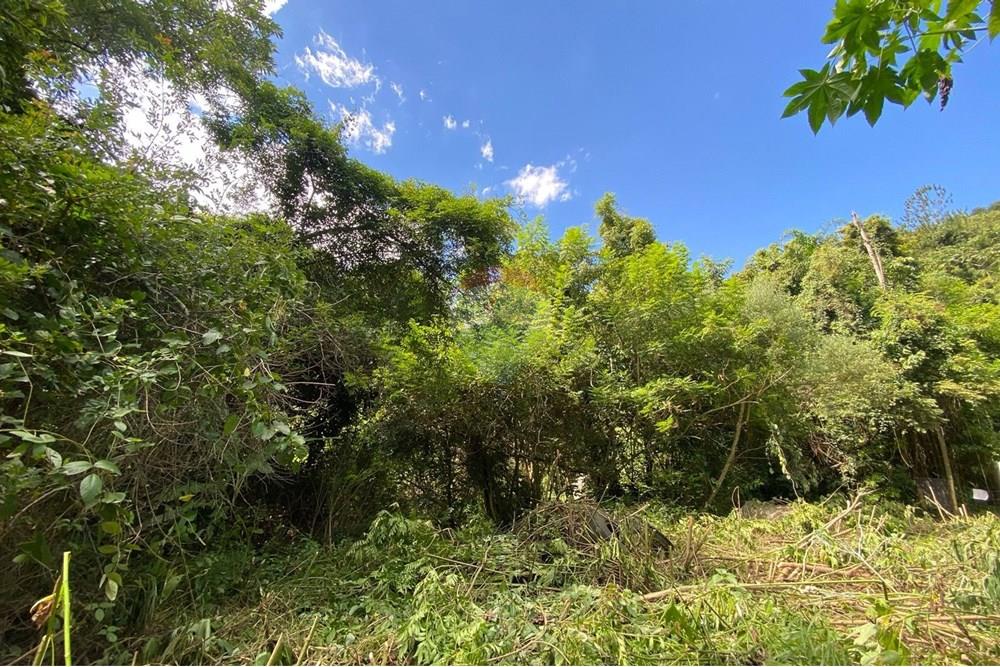 Terreno - Venda - Mairiporã , São Paulo - 1d0af509-e66f-4f6b-9c7e-1b4072d8b8b6.jpeg - 690041107-11