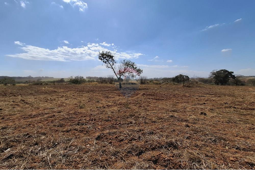 Terreno - Venda - Mogi Mirim , São Paulo - 20250808_120506.jpg - 690681090-43
