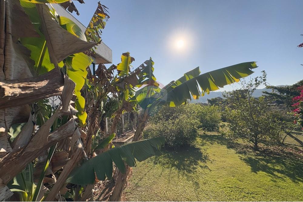 Terreno - Venda - Piracaia , São Paulo - IMG_8837.jpeg - 690041052-120