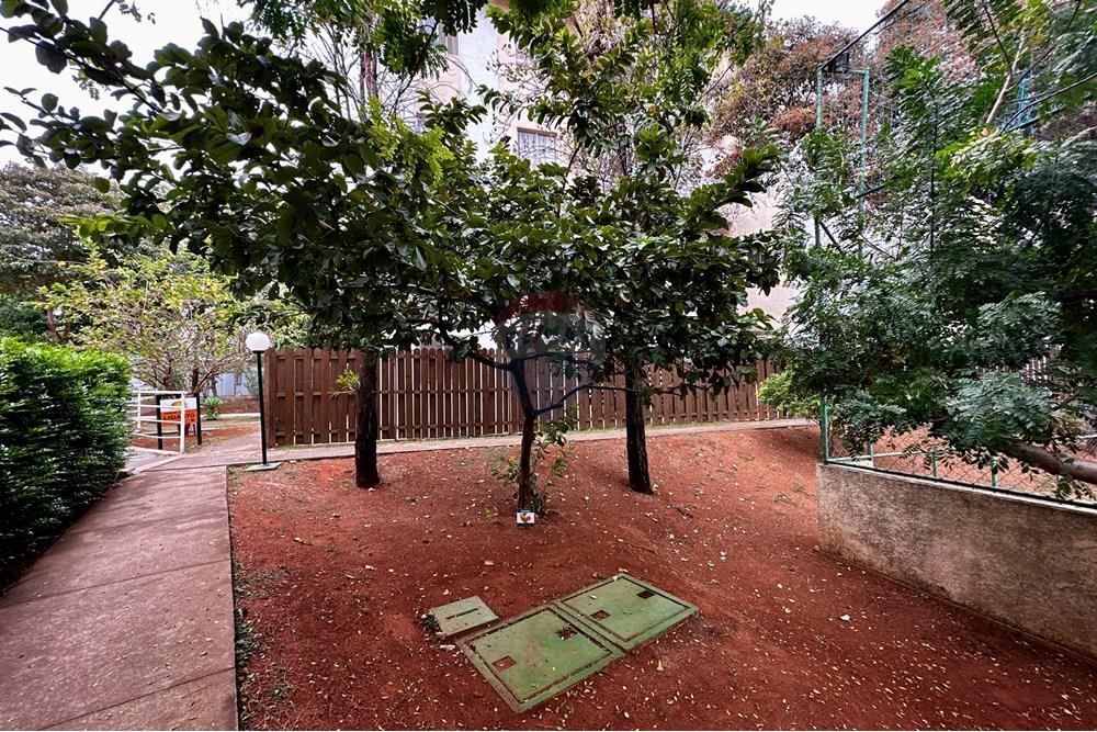 Apartamento - Venda - Limeira , São Paulo - IMG_1180.jpg - 690741007-97