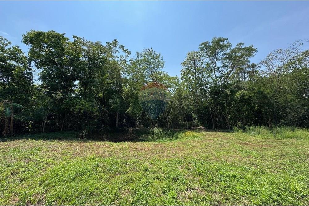 Terreno - Venda - Estiva Gerbi , São Paulo - WhatsApp Image 2025-10-18 at 11.25.57 (2).jpeg - 690521033-193