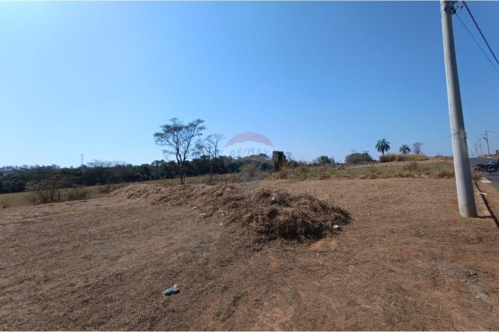 Terreno - Venda - Mogi Guaçu , São Paulo - WhatsApp Image 2025-07-22 at 13.06.57 (1).jpeg - 690521033-176