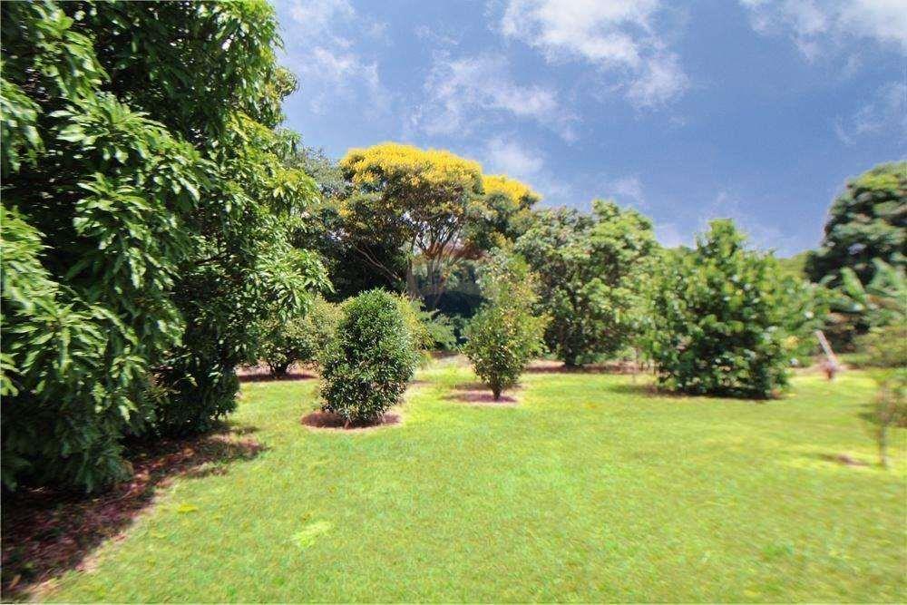 Chácara, 4 quartos, 260 m² - Foto 102