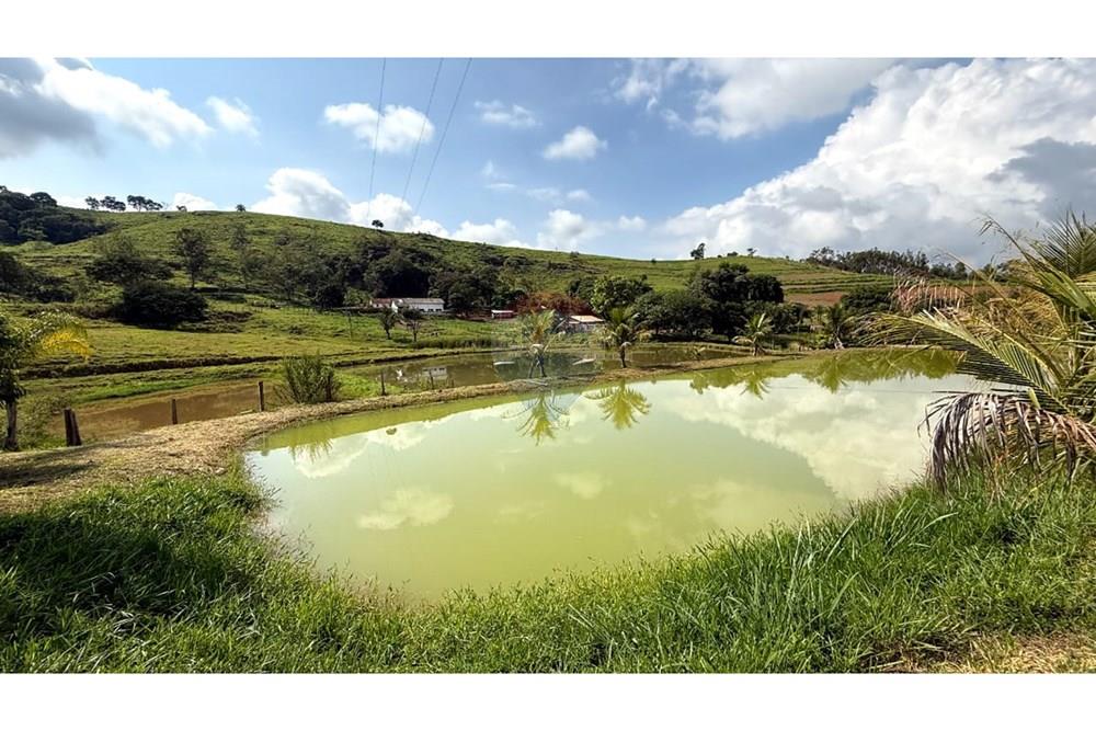 Chácara / Sítio / Fazenda - Venda - Itapira , São Paulo - WhatsApp Image 2025-04-16 at 08.27.06.jpeg - 690751048-152