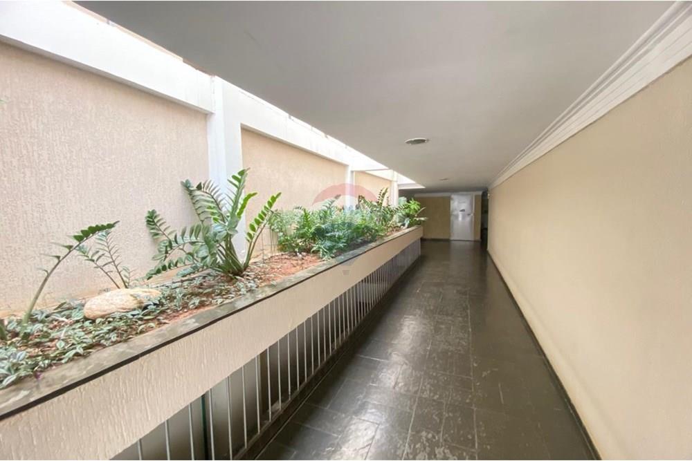 Kitnet - Alugar - Campinas , São Paulo - WhatsApp Image 2025-07-29 at 20.11.52 (4).jpeg - Jardim Interno - 690681167-19